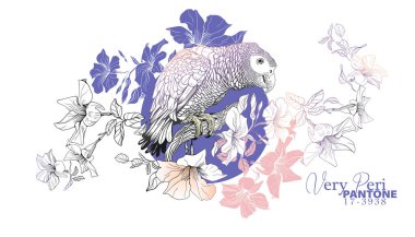 Parrot sitting on a branch of a blossoming liana