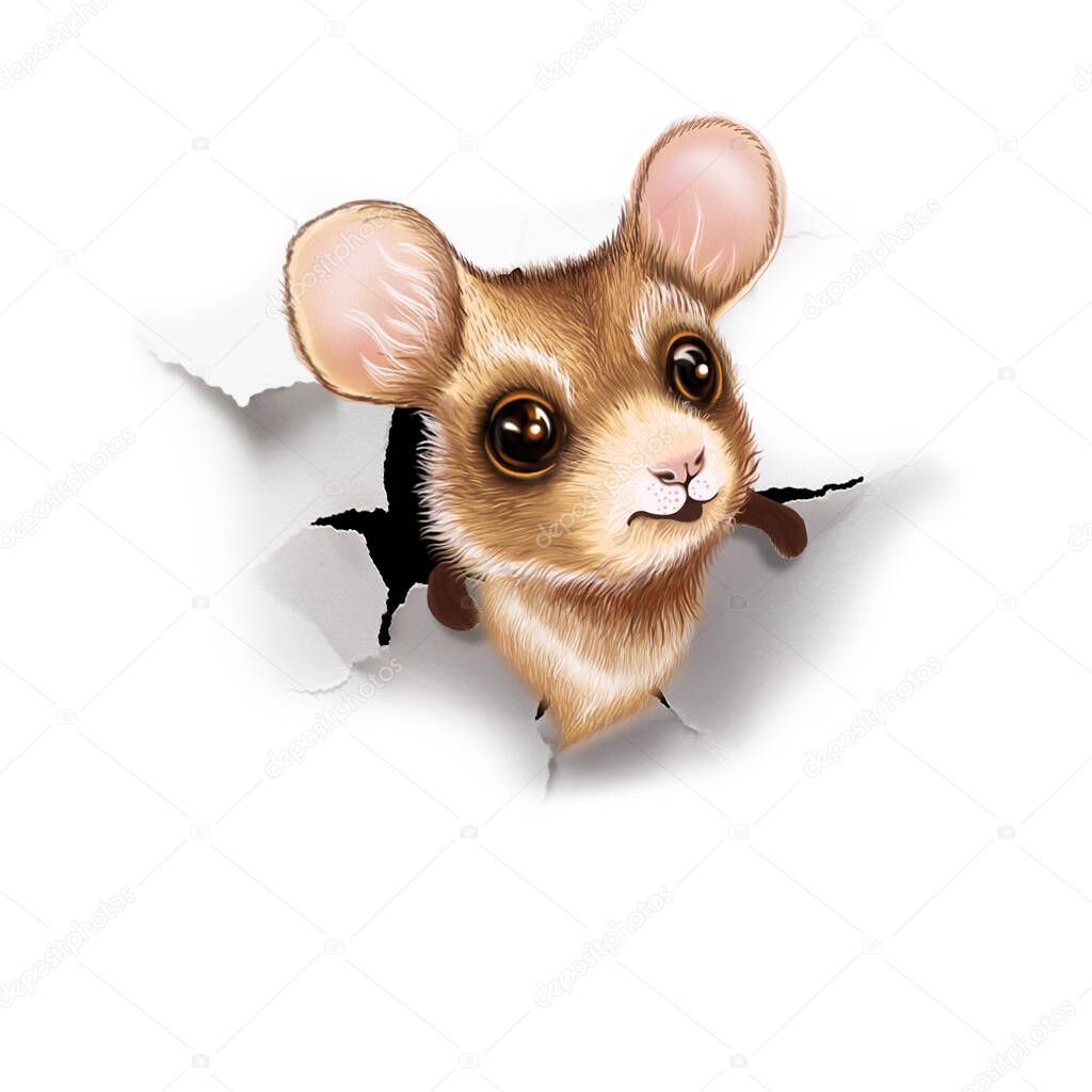 The muzzle of a little mouse peeks out of a hole in white paper, with space for text. Children's illustration, advertising of holidays, events, menus, for printing on textiles, t-shirts, mugs and souvenirs.