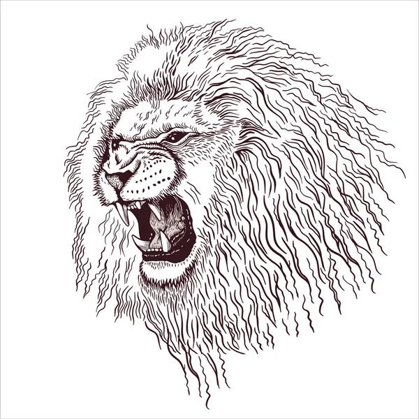 Pencil Drawing Head Roaring Lion Minimalist Style Suitable Logo Tattoo — Wektor stockowy