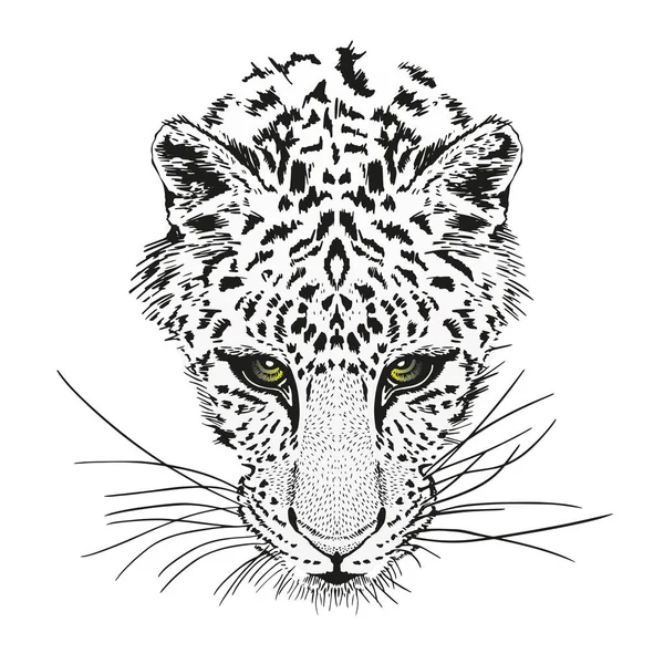 Panther Heads Pencil Drawing — Vector de stock