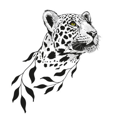 Leopard, pencil drawing of Panthera pardus head with flowers.