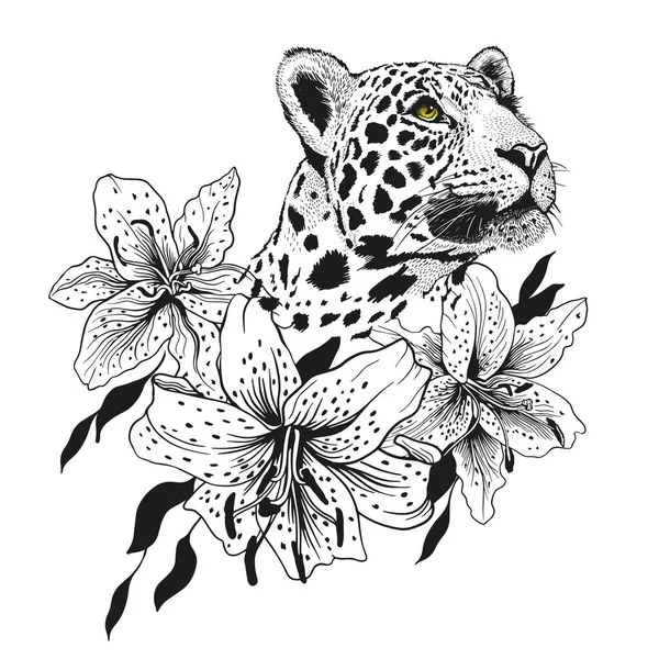 Leopard Pencil Drawing Panthera Pardus Head — 图库矢量图片