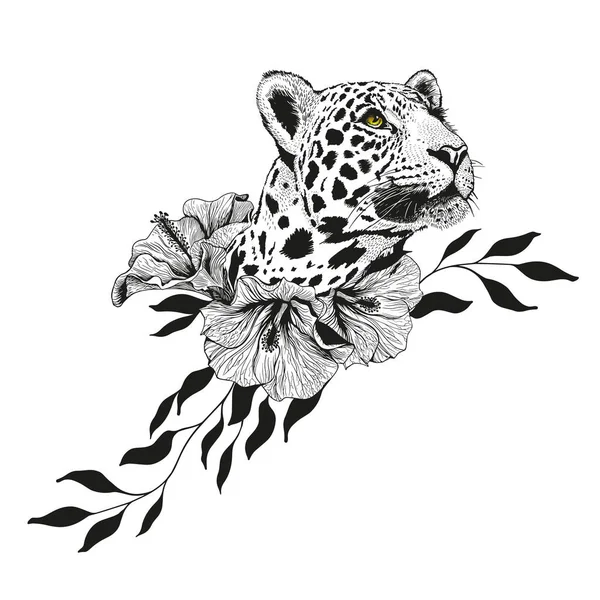 Leopard Pencil Drawing Panthera Pardus Head — Wektor stockowy