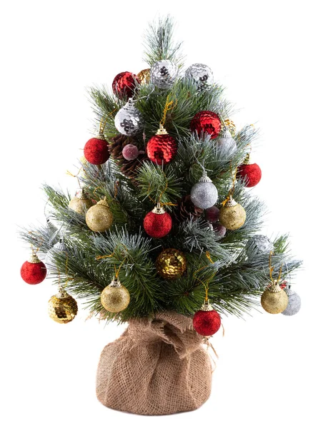 Pretty Bushy Christmas Pine Tree Pot Wrapped Cloth Decorated Bright — Stockfoto