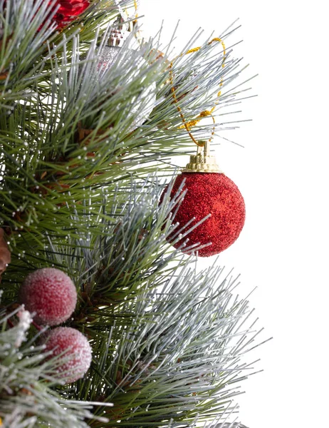 Christmas Tree Green Pine Twigs Decorated Red Ball Out Focus — Stockfoto