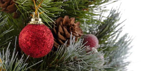 Vánoční Stromek Zelené Borové Větvičky Zdobené Červeným Míčkem Rozostřené Kužely — Stock fotografie