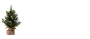 Kozalaklı ve kırmızı meyveli Noel ağacı. Süssüz bir ağaç ve beze sarılmış bir tencerede. Çam dallarının uçları karla kaplı. Beyaz arka planda izole edilmiş. Uzayı kopyala Sancak boyutu.