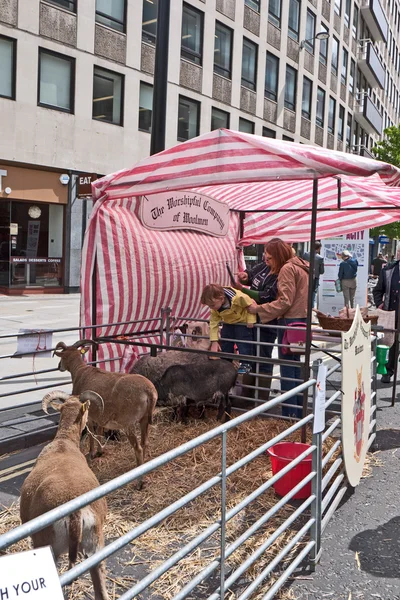 Visitors admire the sheep and goats on the Worshipful Company of Woolmens stand on the street at Cheapside, part of Celebrate the City. June 23, 2012 in London UK. — Stock Photo, Image