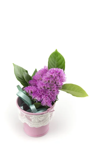 Still life object with flowers — Stock Photo, Image