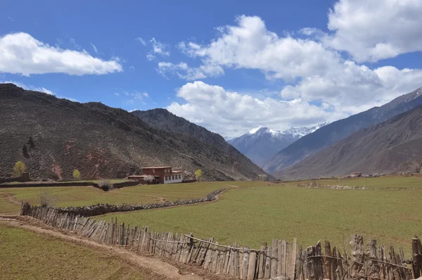 Tibet krajina — Stock fotografie