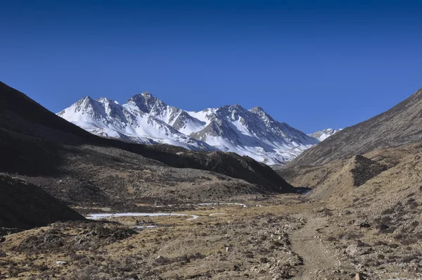 Тибет пейзажі — стокове фото