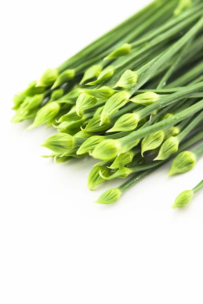 Leeks — Stock Photo, Image