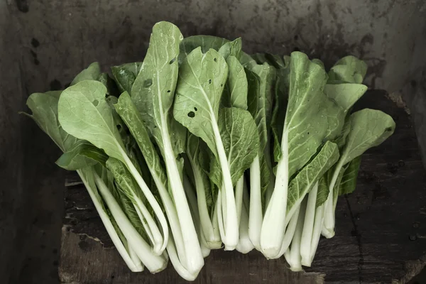 Some cabbage — Stock Photo, Image