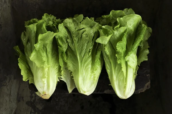 Some vegetables — Stock Photo, Image