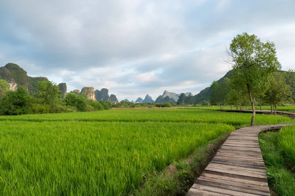 Het Natuurlijke Landschap Van Yangshuo Guilin China — Stockfoto