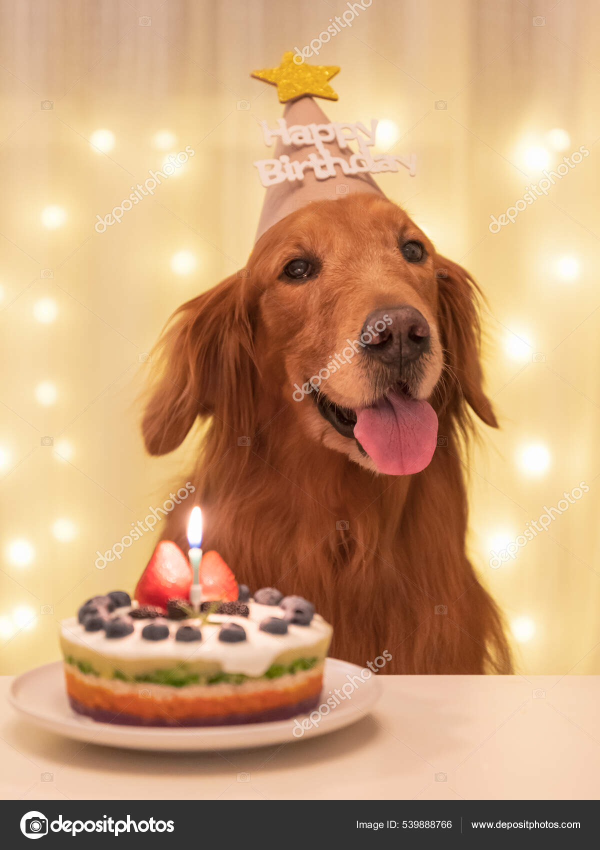Golden Retriever Cake Celebrating Birthday Foto de stock 539888766 chendongshan