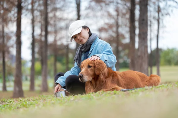 Golden Retriever Acompanha Proprietário Grama Parque — Fotografia de Stock