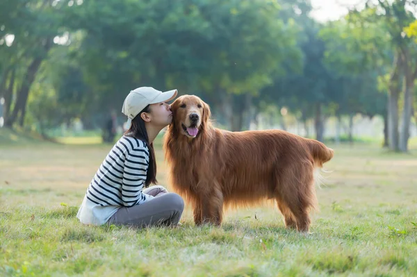 Pies Golden Retriever Towarzyszy Właścicielowi Trawie Parku — Zdjęcie stockowe