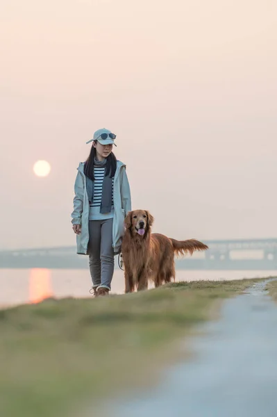 Golden Retriever Sahibine Nehir Kenarında Bir Yürüyüş Için Eşlik Etti — Stok fotoğraf