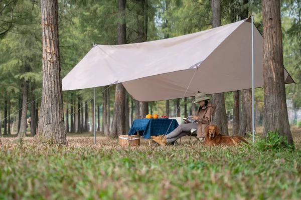 Golden Retriever Camping Owner Resting Campsite — Stok fotoğraf