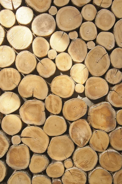 목재를 가로지르는 부분 — 스톡 사진