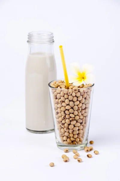 Taze soya sütü ve ham soya fasulyesi