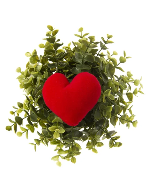 Travesseiro coração vermelho com planta — Fotografia de Stock