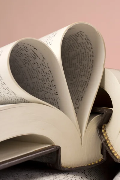 Kniha lásky — Stock fotografie