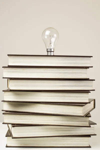 A könyv és a villanykörte Stock Kép