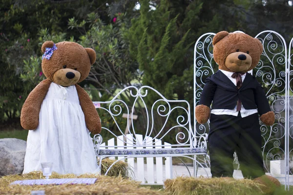 iki büyük ayı bebek