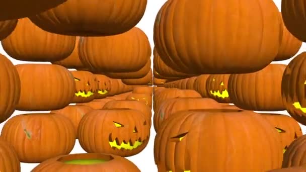 Halloween Footage Pumpkin Tunnel All Hallows Eve Animation Looped — Stock Video