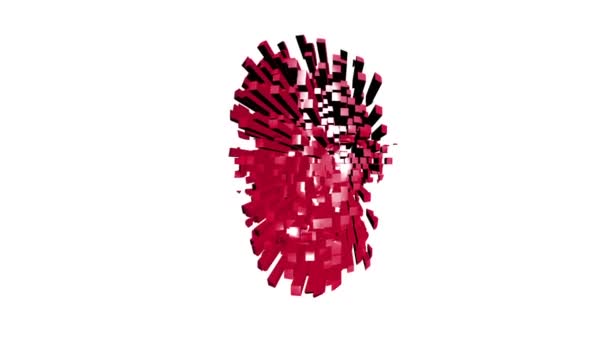 用立方体组装人头旋转的3D动画展示了人头的构建过程 — 图库视频影像