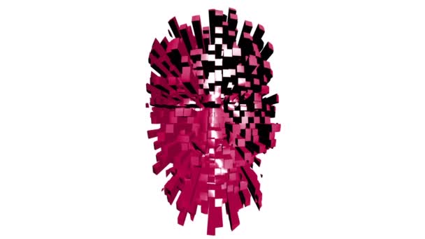 Assembling Human Head Cubes Rotating Animation Showing Process Building Human — Stock Video