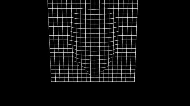 Nagranie Loop Sieć Ludzkiej Głowy Szef Osoby Grid Animacja Drutu — Wideo stockowe