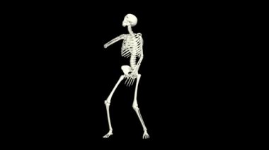 Dans eden İskelet 3D.3D İskelet Dans Animasyonu.. 