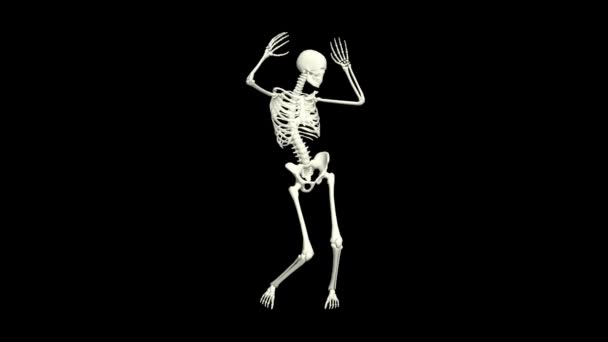 Dancing Skeleton Skeleton Dance Animation Skeleton Dance — Video Stock
