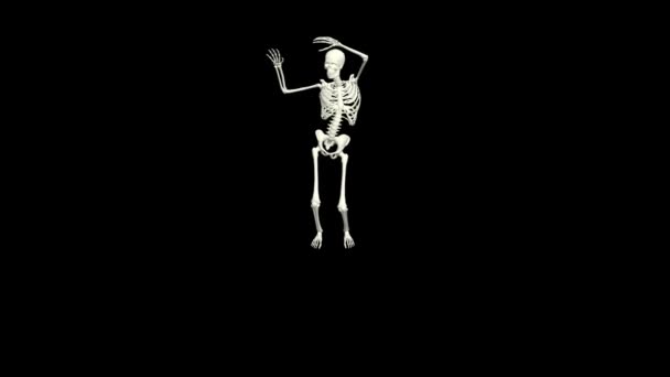 Dancing Skeleton Skeleton Dance Animation Skeleton Dance — Vídeos de Stock