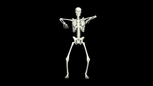 Dans Eden Skelet Skelet Dans Animasyonu — Stok video