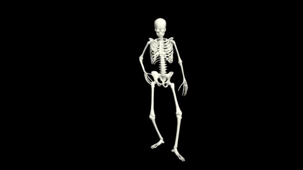 Танці Скелет Скелет Танець Анімація Скелет Танець — стокове відео