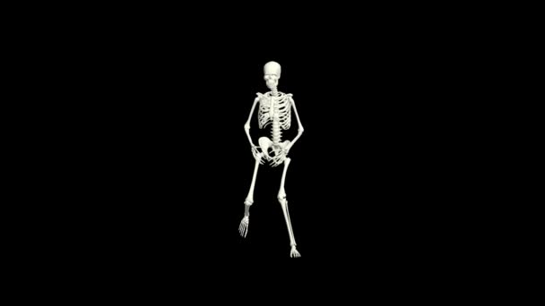Dancing Skeleton Skeleton Dance Animation Skeleton Dance — Stock Video ©  Opreston #564942184