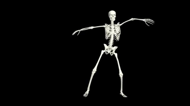 Танці Скелет Скелет Танець Анімація Скелет Танець — стокове відео
