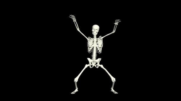 Dancing Skeleton Skeleton Dance Animation Skeleton Dance — Stock Video