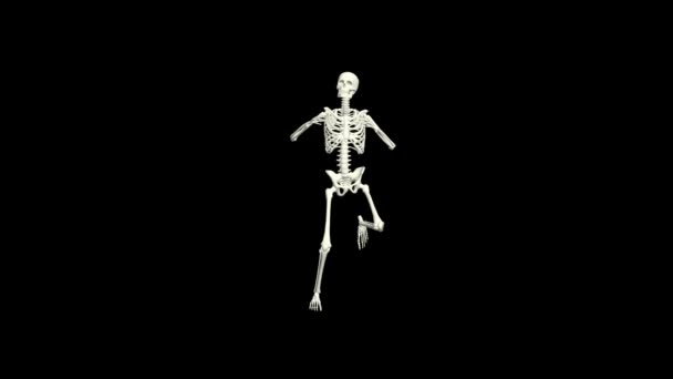 Dans Eden Skelet Skelet Dans Animasyonu — Stok video