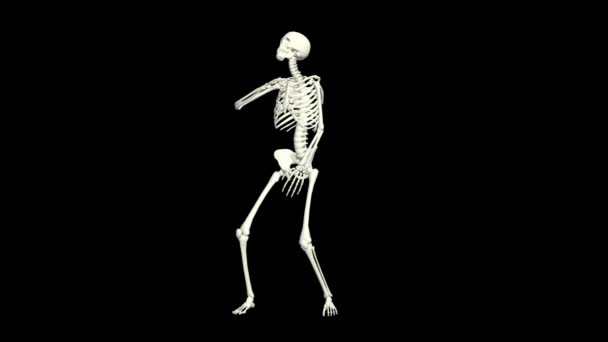 Dancing Skeleton Skeleton Dance Animation Skeleton Dance — Stock Video ©  Opreston #564943114