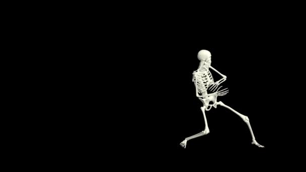 Dancing Skeleton Skeleton Dance Animation Skeleton Dance — Vídeos de Stock