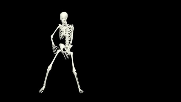 Dancing Skeleton Skeleton Dance Animation Skeleton Dance — Stockvideo