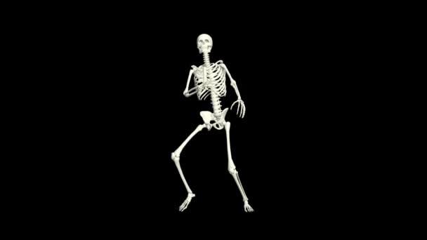 Dancing Skeleton Skeleton Dance Animation Skeleton Dance — Vídeos de Stock