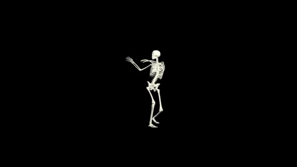 Dancing Skeleton Skeleton Dance Animation Skeleton Dance — Stock Video ©  Opreston #564942854