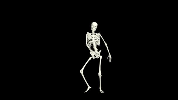 Dancing Skeleton Skeleton Dance Animation Skeleton Dance — Stockvideo