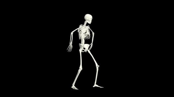 Esqueleto Baile Esqueleto Danza Animación Esqueleto Danza — Vídeos de Stock